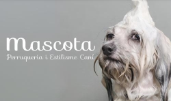 Mascota peluqueria y estilismo canino, Sabadell