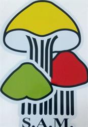 Sociedad Asturiana de Micología, Gijón