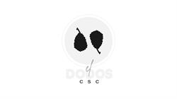 CSC El Dodos, Torrevieja