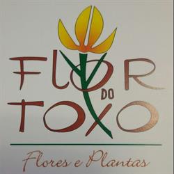 Flor do Toxo, Sober