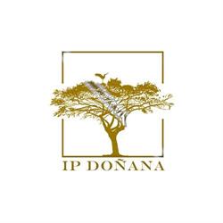 Poda en altura de Palmeras Árboles IP Doñana, Almonte