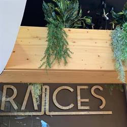 Raíces, Vigo