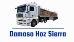 Dámaso Hoz Sierra, Bareyo