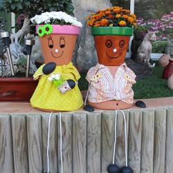 Garden Center Jardinería Alfaz, L'Alfàs del Pi