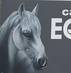 Bar Equus, Burgos