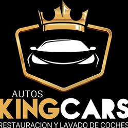 Autoskingcars lavado de vehículos y tapicería del automóvil restauración en cuero y plásticos, Valdemoro