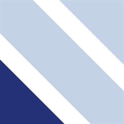 Epsilon ERP, Valencia