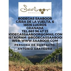 Bodegas Saaboor, Lugros