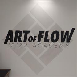 Art of Flow Bjj Brazilian jiujitsu Ibiza Academy