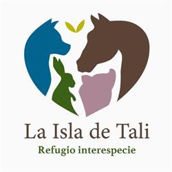 La isla de Tali, Nigrán