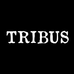 Tribus, Madrid