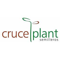 Semilleros Cruceplant, SL, La Rábita