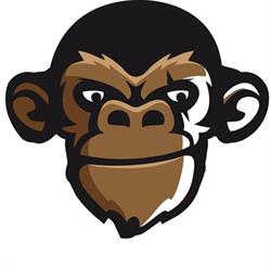 Dance Monkey, El Ejido