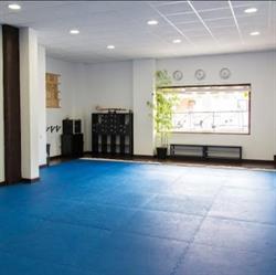 Gimnasio, Artes Marciales SHINDOKAN-Aikido-Tai Chi-Defensa Personal-Yoga-Pilates, Navalcarnero