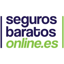 Seguros Baratos Online, Viveda