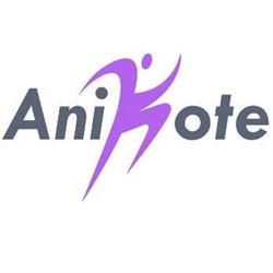 Anikote, Leitza