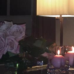 MarcCramFloristes, Argentona