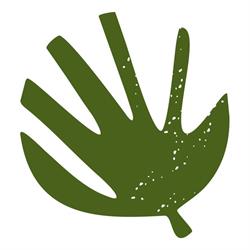 El Palmito Herbolario y Ecotienda, Posadas