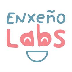 EnxeñoLabs By Dismedia - Novo Mesoiro