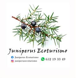 Juniperus Ecoturismo / ArtHebe, Coruña del Conde