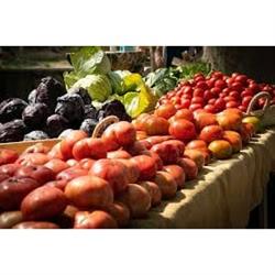 Productos Hortícolas Valdellera, La Revenga