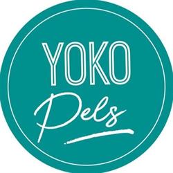 Yoko Pels C.b., Ondara