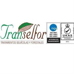 Transelfor Sl, Alborea
