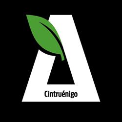 bonÀrea, Cintruénigo