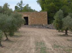 Moli Del Set Sl., L'Albi