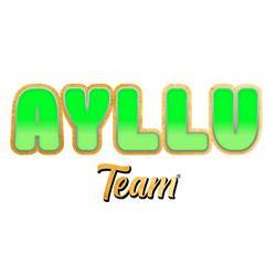 Ayllu Team, Madrid