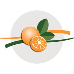 Naranjas Ribera del Jucar, Valencia