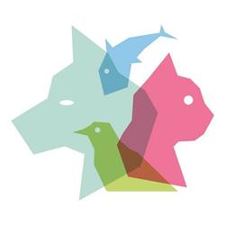 Todomascota.es Tienda Online - Envío Gratis, Torrefarrera