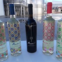 Bodegas JUAN PABLO II, Socuéllamos