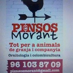 Piensos Morant, De Bellreguard