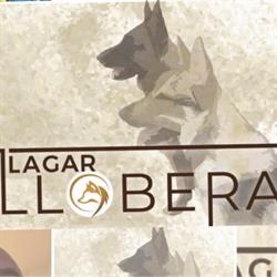 Llagar La Llobera, Madrid