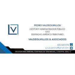 Pedro Valdeolmillos Punzon Gestor y Administrador Publico, Zamora