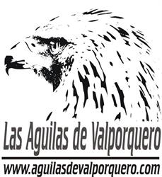 LAS AGUILAS DE VALPORQUERO, Villaquejida