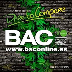 BAC España, Rivas-Vaciamadrid