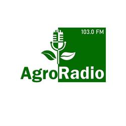 Agro Difusion, El Ejido