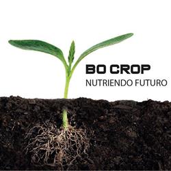 Bo crop, Almansa
