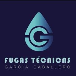 Fugas Técnicas, Mula