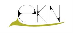 Ekin Consultoria, Amurrio