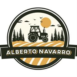 TALLER ALBERTO NAVARRO, Gerindote