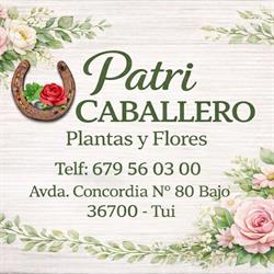 Flores Patri Caballero, Tui
