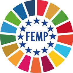 Red de Entidades Locales para la Agenda 2030, Madrid