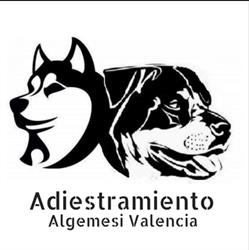 Adiestramiento Algemesi Valencia