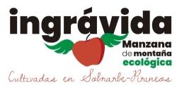 Ingravida, Aínsa