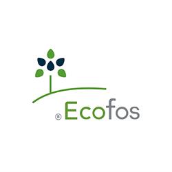 Ecofos, Salteras