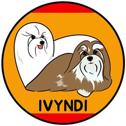 IVYNDI Bichón Habanero y Coton de Tulear, Castrillo del Val