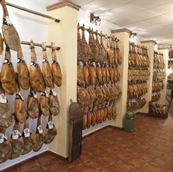 La Romanilla 958770792, Lanjarón